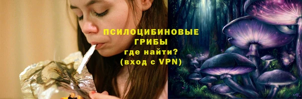 первитин Инта
