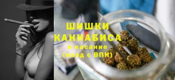 ГАЛЛЮЦИНОГЕННЫЕ ГРИБЫ Инсар