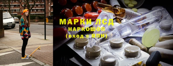 индика Краснотурьинск
