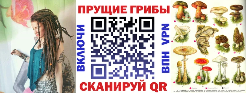 Галлюциногенные грибы Cubensis  kraken как войти  Калининск 